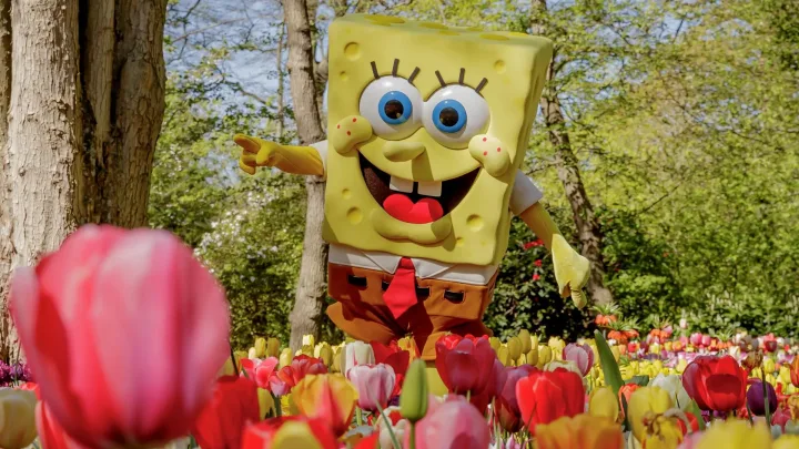 SpongeBob in Keukenhof