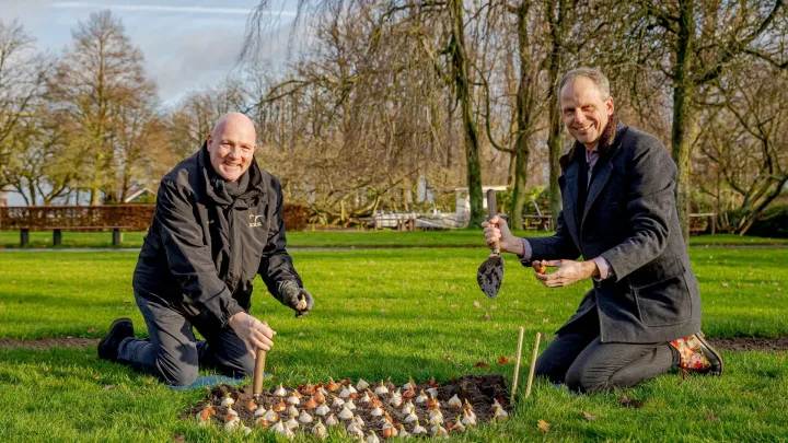 Der Astronaut André Kuipers pflanzt die letzten Blumenzwiebeln Im Keukenhof