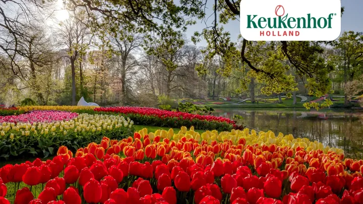 Keukenhof blickt stolz auf das Jahr 2020 zurück