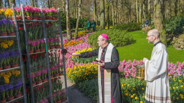Bloemen vanaf Keukenhof onderweg naar Sint-Pietersplein