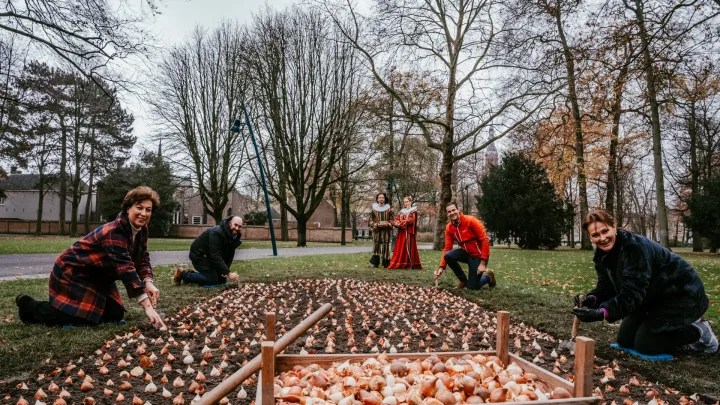 Keukenhof plant bijna 4.000 tulpenbollen in Valkenberg Park Breda