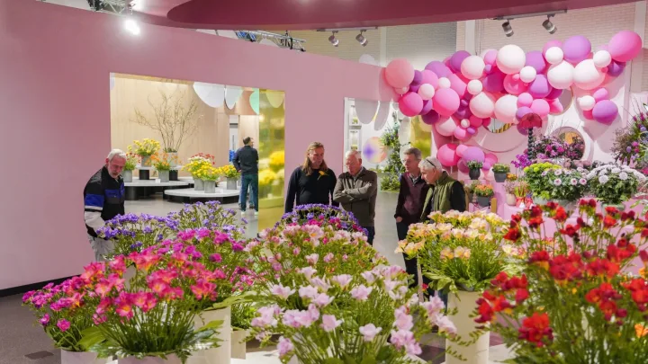 Prijsuitreiking keuring Freesia tijdens jaarlijkse vakbijeenkomst