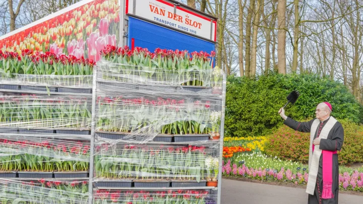 Gezegende bloemen vanaf Keukenhof onderweg naar Sint-Pietersplein in Rome