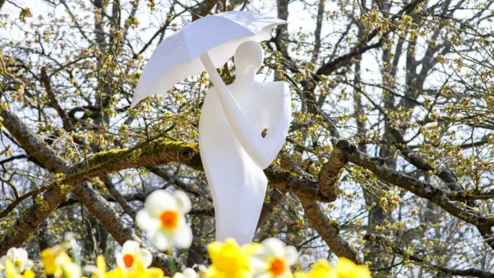 Kunst in volle bloei