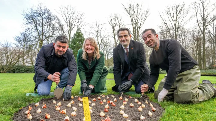 Laatste bloembollen geplant in Keukenhof