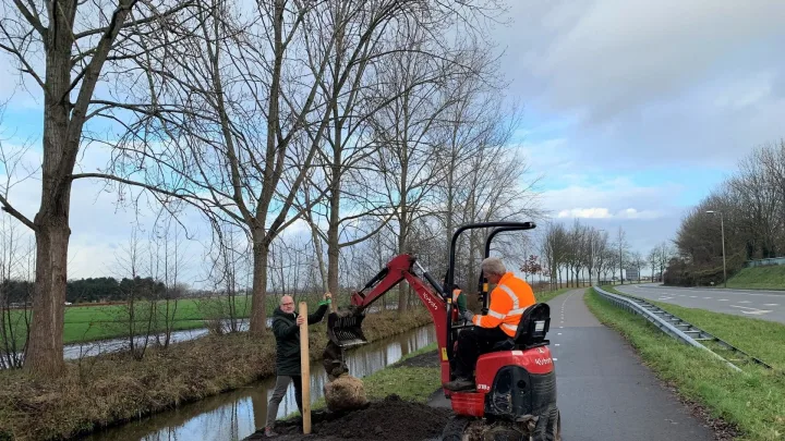 Lindes, wilgen en acers langs de Westelijke Randweg in Lisse