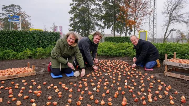 Kleurrijke entree van Lisse