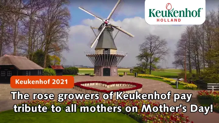Die Rosenzüchter von Keukenhof würdigen den Muttertag