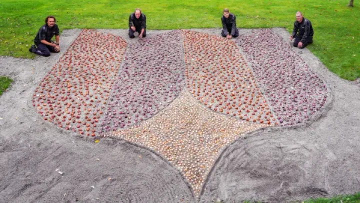 Keukenhof tuinmannen planten de eerste bloembollen
