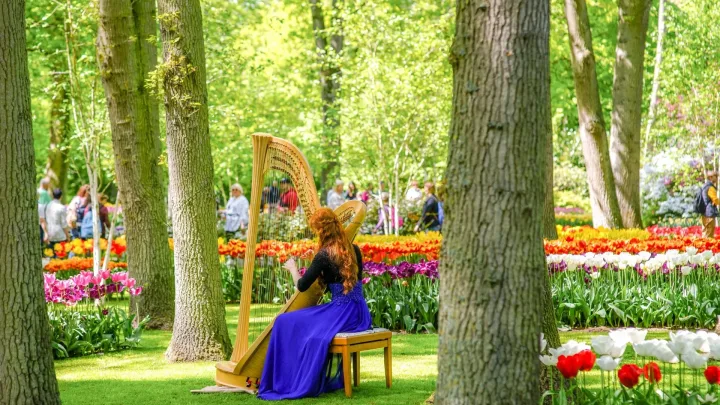 Topmusici bij Romantiek in Keukenhof