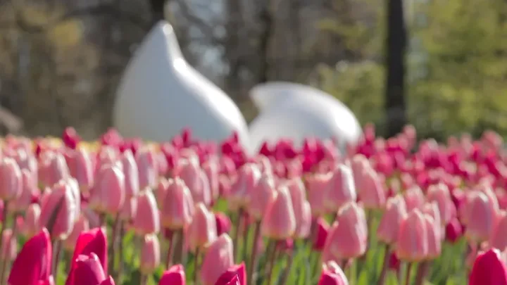 Enjoy the park april