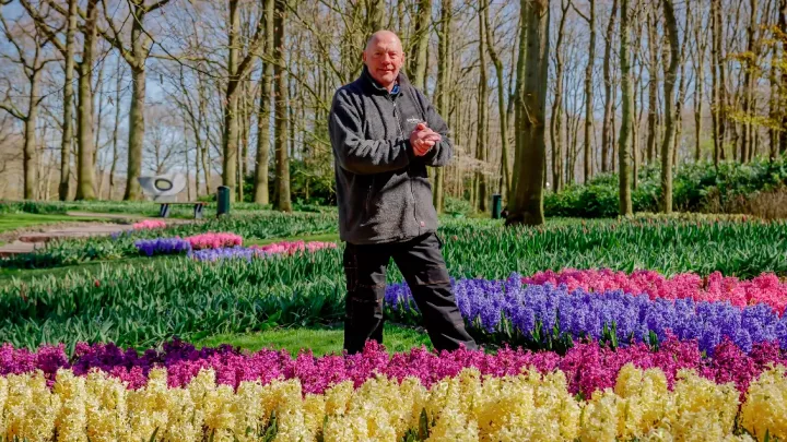 Gardener Owen shows you the hyacinths
