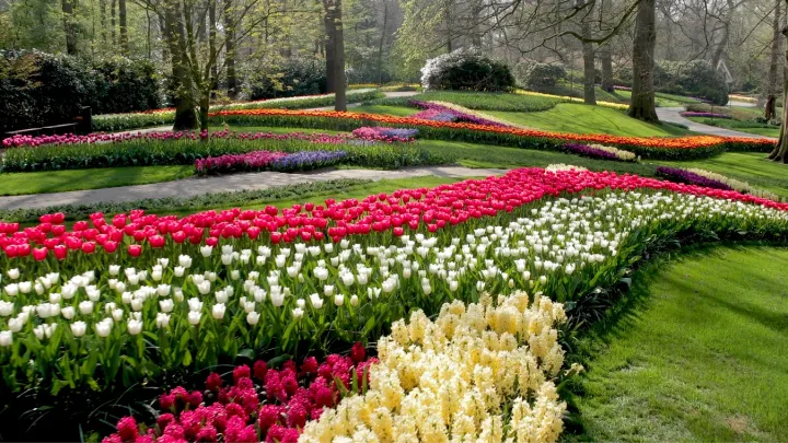Enjoy the park April 14