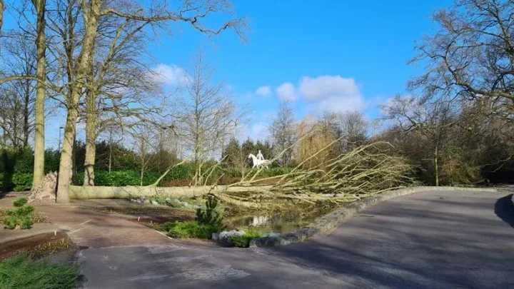 Storm veroorzaakt schade in Keukenhof