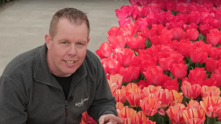Gardener Michael in the Willem-Alexander Pavilion