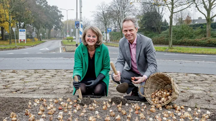 Kleurrijke entree van Lisse