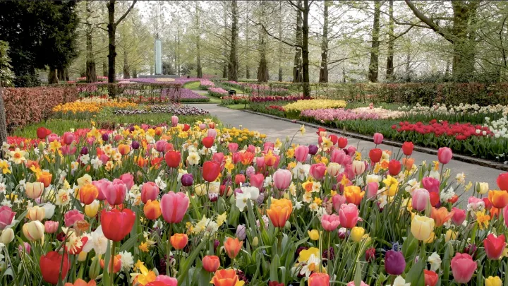 Enjoy the park April 21