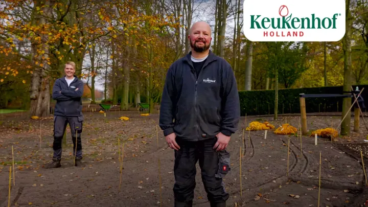 Planting 7 million flower bulbs