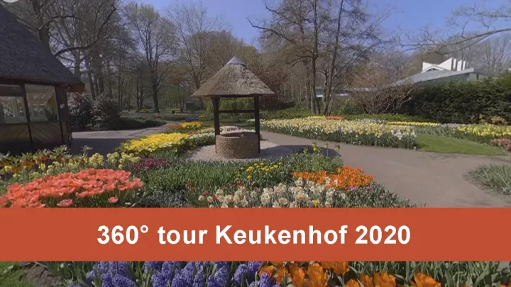 360° tour through Keukenhof!