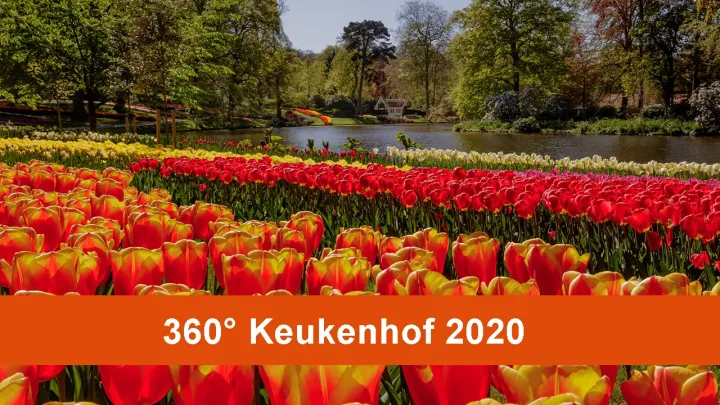 360° video through Keukenhof